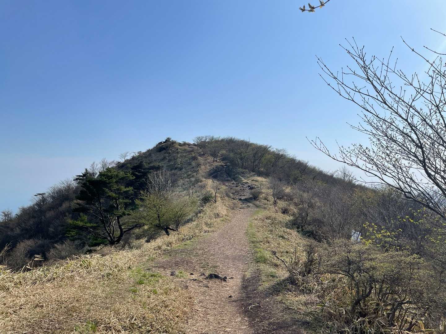 1300mそこらで、この景色は凄い‼︎