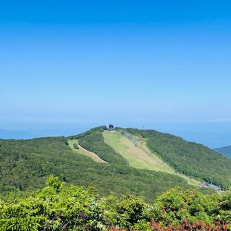 鳥兜山⛰️