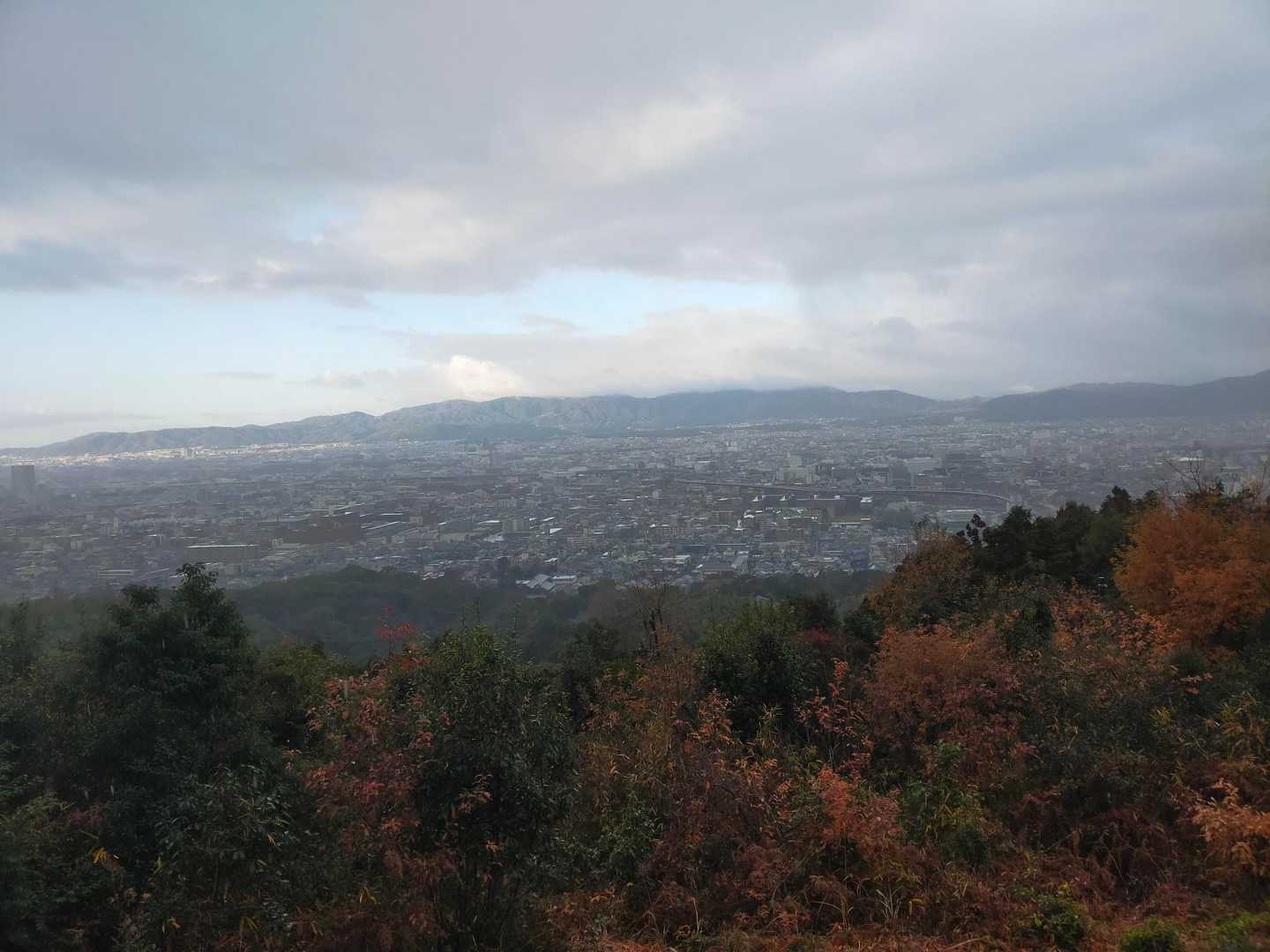 東豊福寺駅に向かう途中、好展望の広場がありました。
ここからは木々や竹が生い茂る道や民家を経由するので、プチハイキング気分で楽しみます🥾
