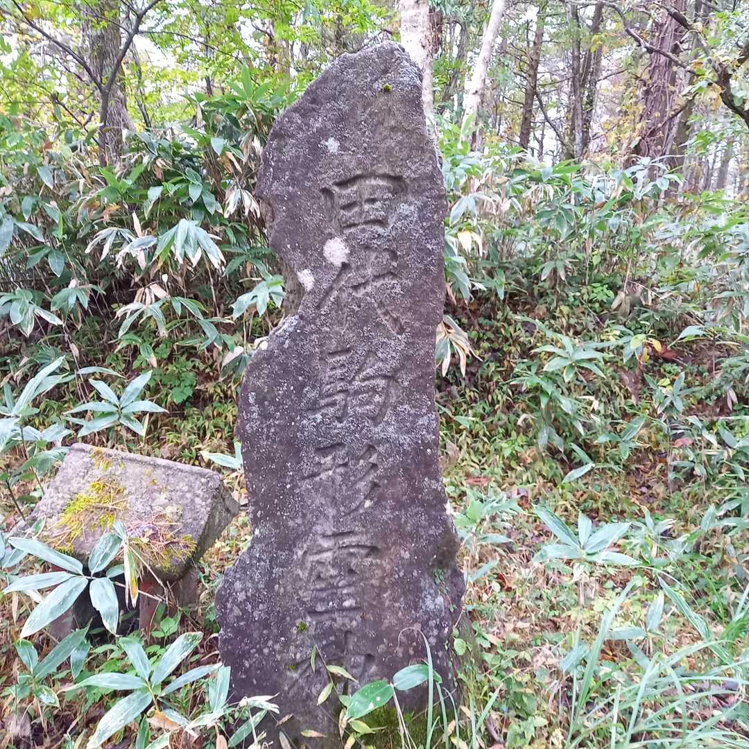 田代駒形雷神？