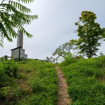 山頂が見えた