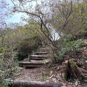 さて、山頂へ🙌