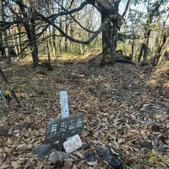 分かりずらい所にひっそりとあるから( ･᷄ὢ･᷅ )
はい、登頂⸜(* ॑꒳ ॑* )‪⸝