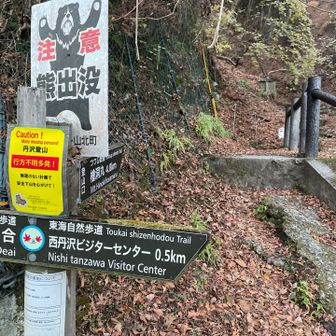 舗装路を歩いてすぐに、ツツジ新道の登山口がありました。この道で檜洞丸を目指します♪
