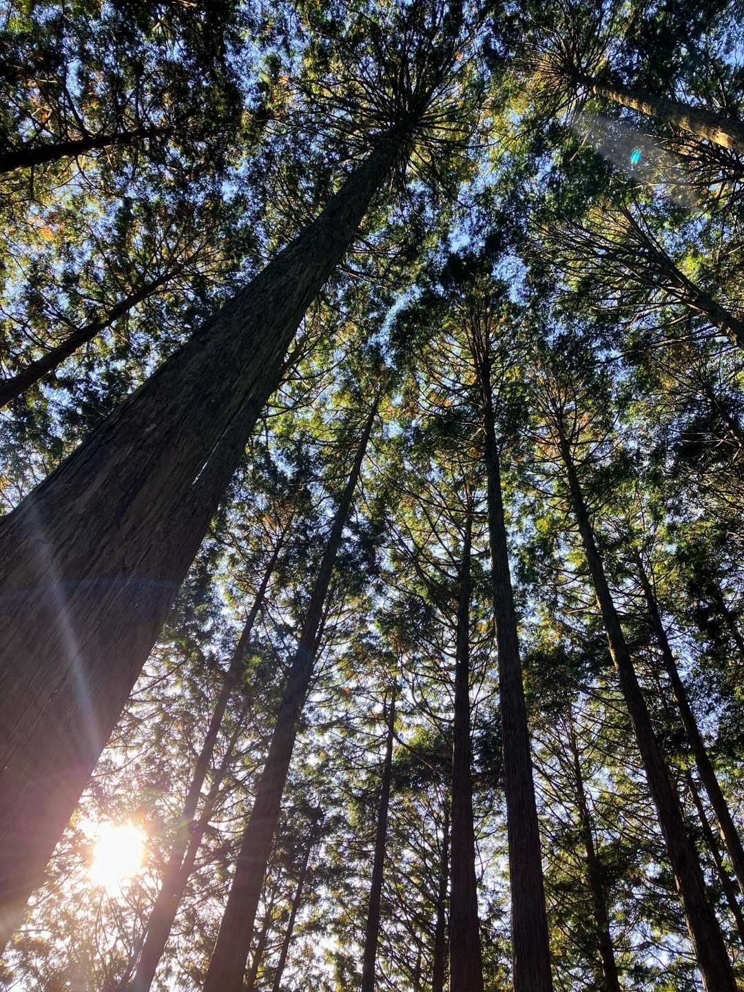 今このお山歩いてるの、わたしたち
だけって、なんだかワクワクするね