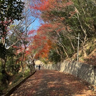 お疲れ山でした