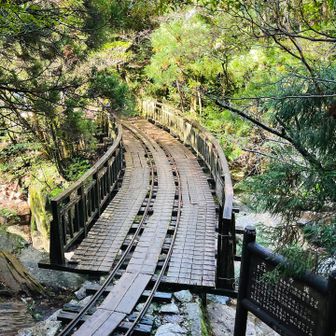 トロッコ道