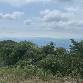 南方面は