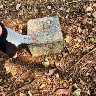 西ノ山　三等三角点（点名：若松）