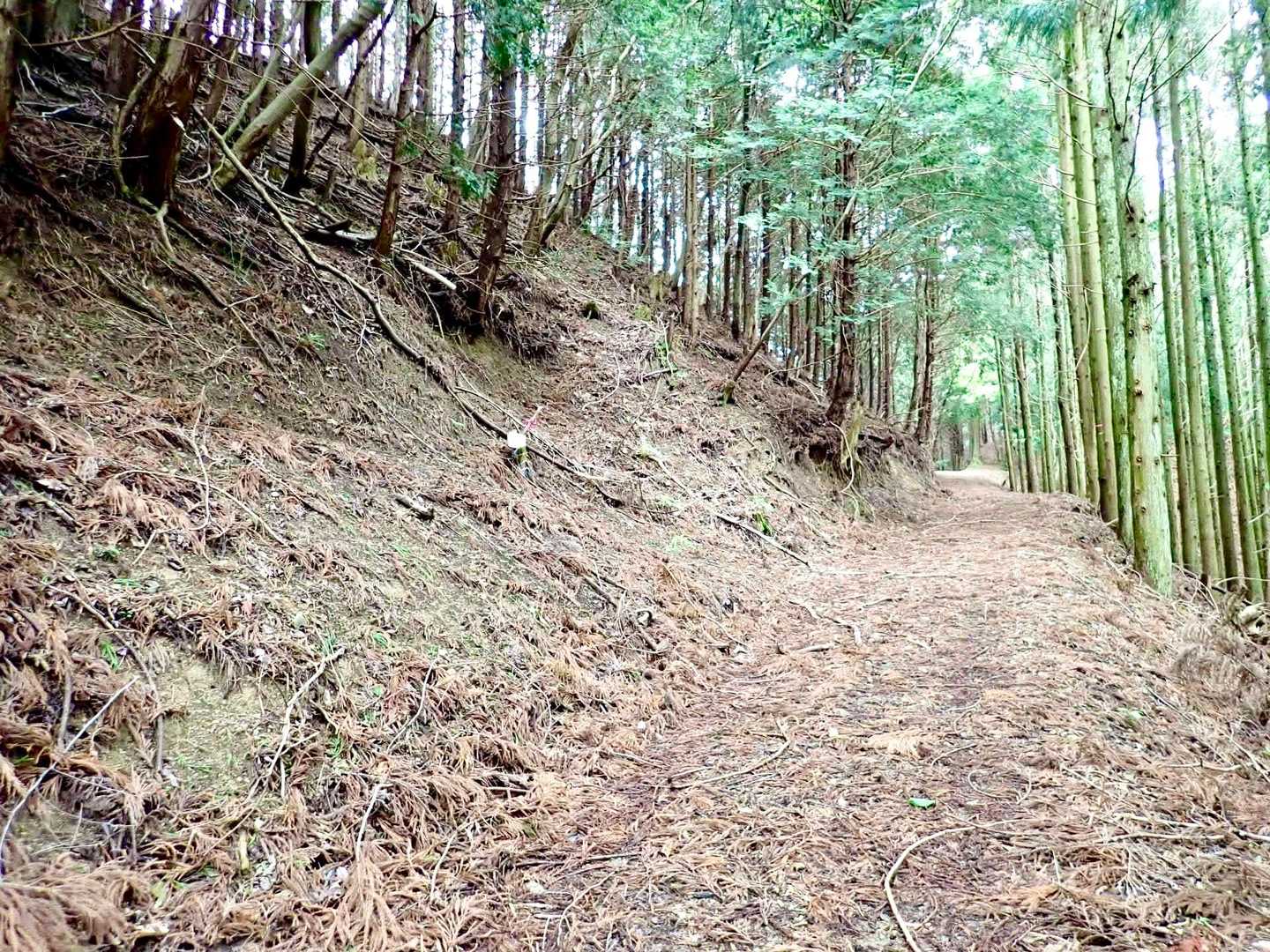 福見寺の看板
ここを大きく左に