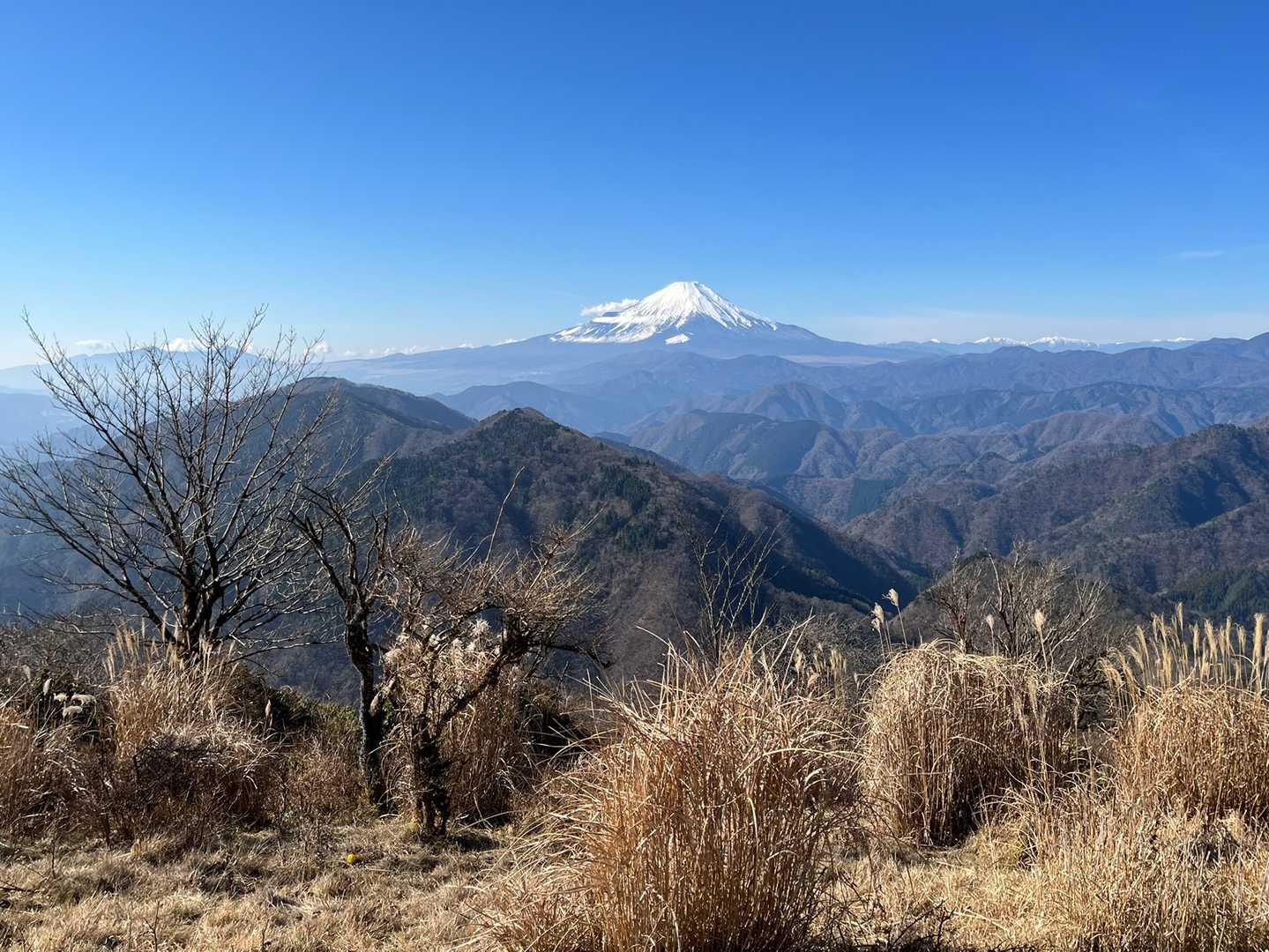 鍋割山荘からの富士山🗻もキレイでした☺️