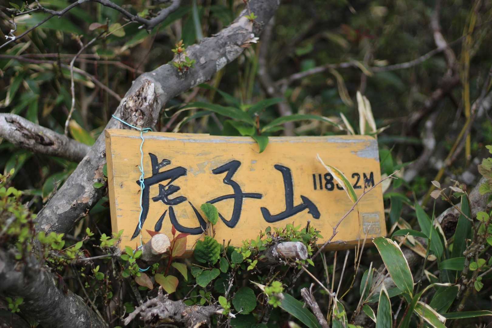 国見峠-虎子山 往復コースの写真