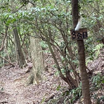 何回か通っているけど、気が付かなかった