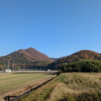 船岡山を下り、のどかな道を行く。左側の山に登る。