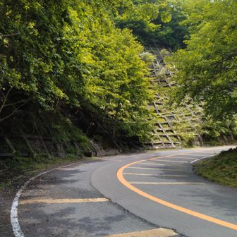 鈴鹿スカイラインへと合流しました。
駐車場まで舗装道路を登って行きます。