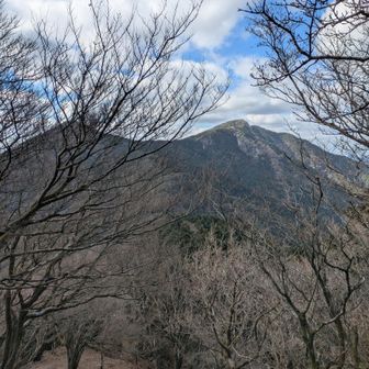 落葉の隙間から👈️〜江川岳⛰️〜屏山⛰️🤓
復路は、急斜面でグングン高度を下げると、宇土浦越に着きます。