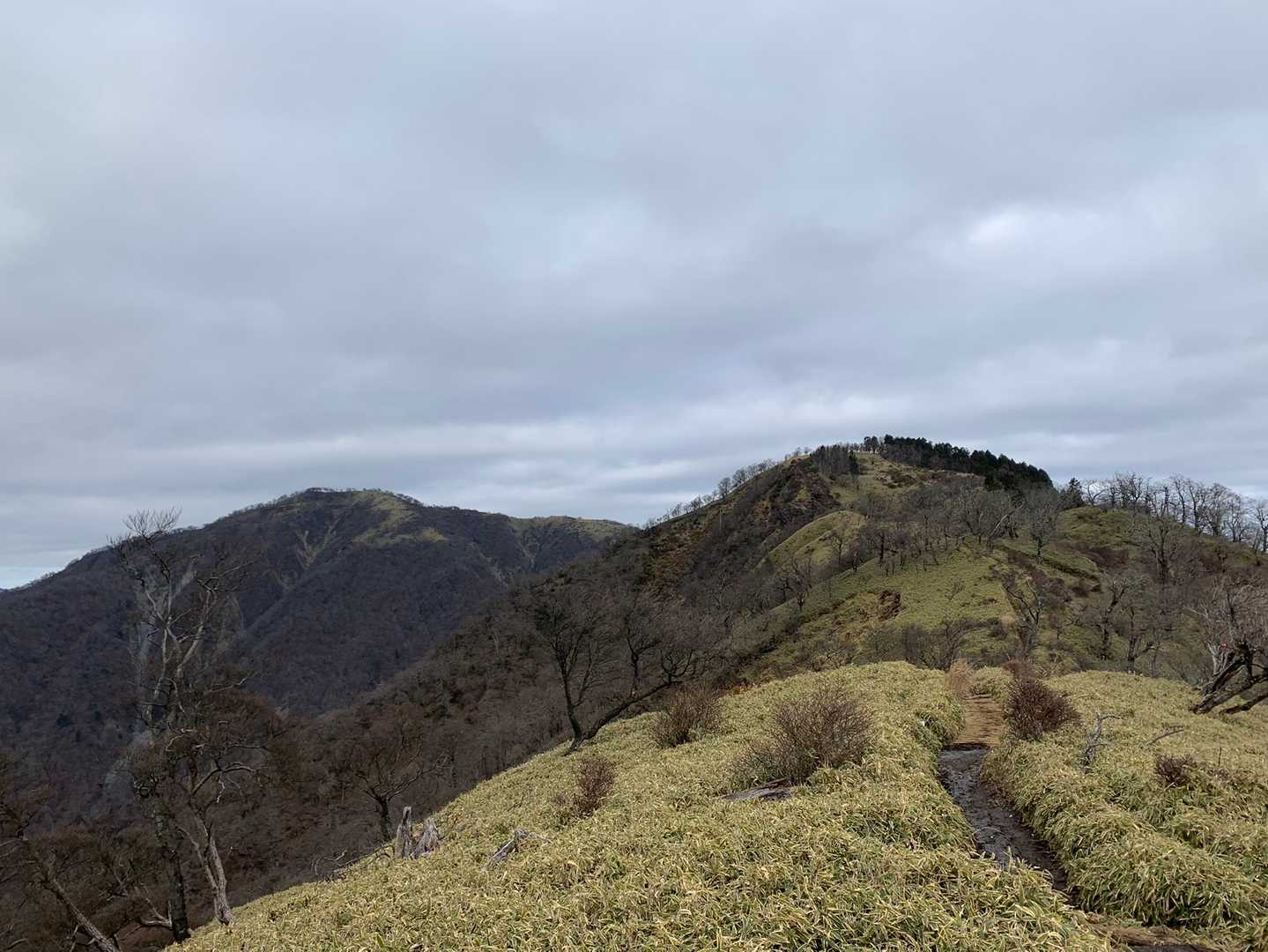 戸沢の出合登山口-塔ノ岳-日高-竜ヶ馬場-丹沢山 往復コースの写真
