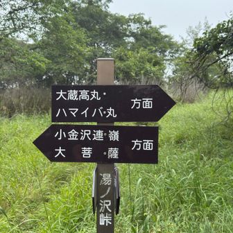 湯ノ沢峠到着