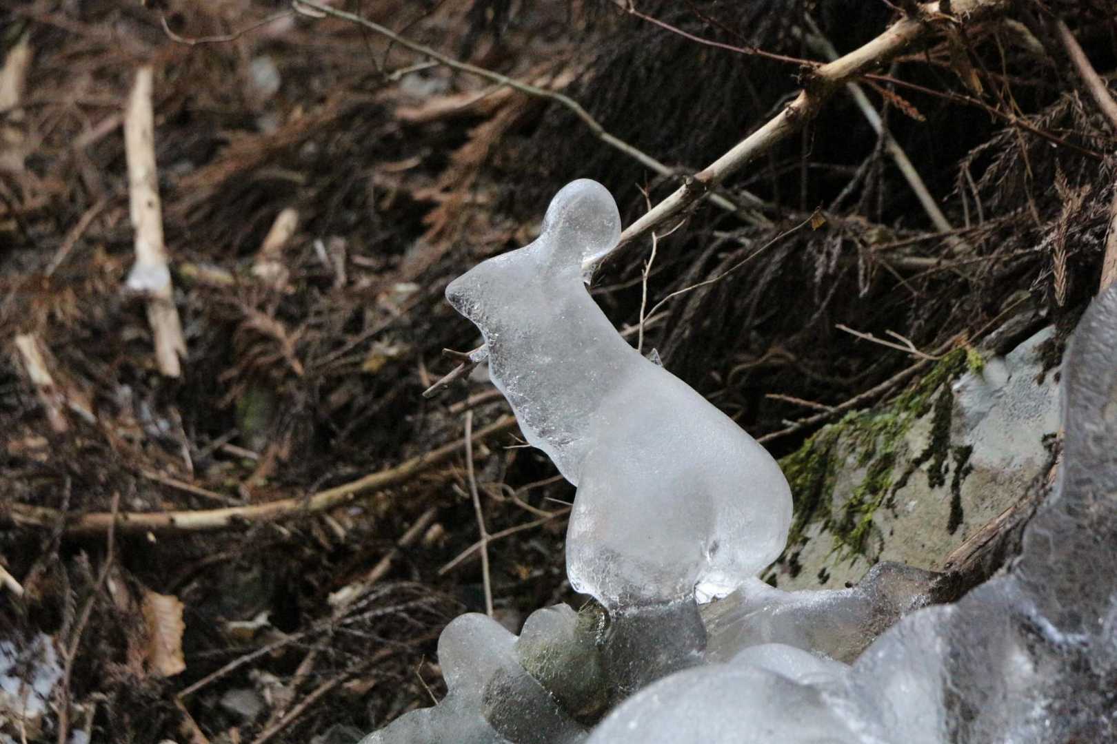 ネズミ氷発見