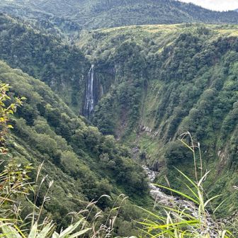 昨日はガスで見えなかった大日山荘裏の滝見台より
今日は幾筋もの滝がみえます
この上が弥陀ヶ原
こんなにも深い渓谷が下に広がってるんですね