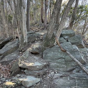 あー、もう楽しい、楽しい、ずっとこれがいい！
テンション爆上がりのところあっという間に登り切るし名残惜しい😭