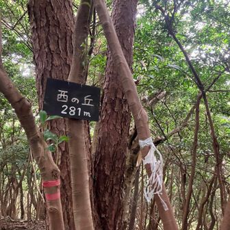 牛頸東峰 標識に気づかず スルーして😅
西の丘 山頂に着きました😊