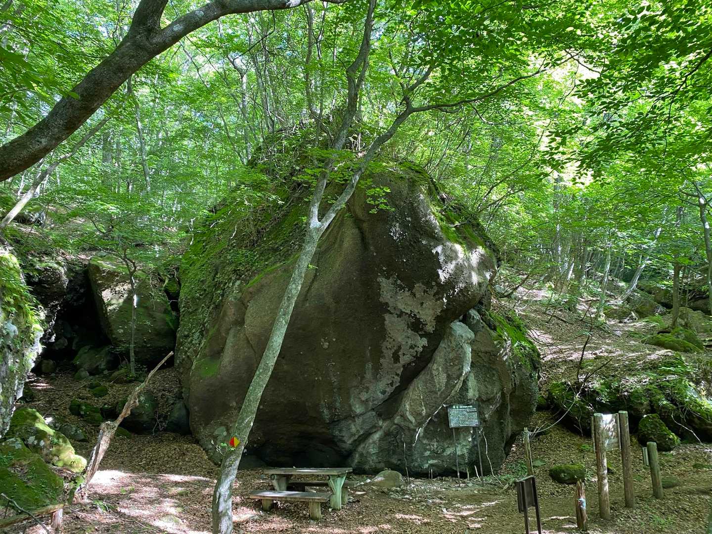 皇海山登山口-庚申山 往復コースの写真