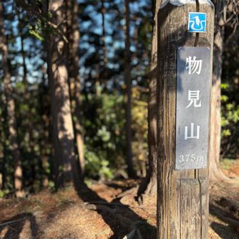 物見山頂上375m。