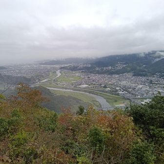 城山からの眺望。鮎釣りで有名な、狩野川と伊豆の国市の街並み。