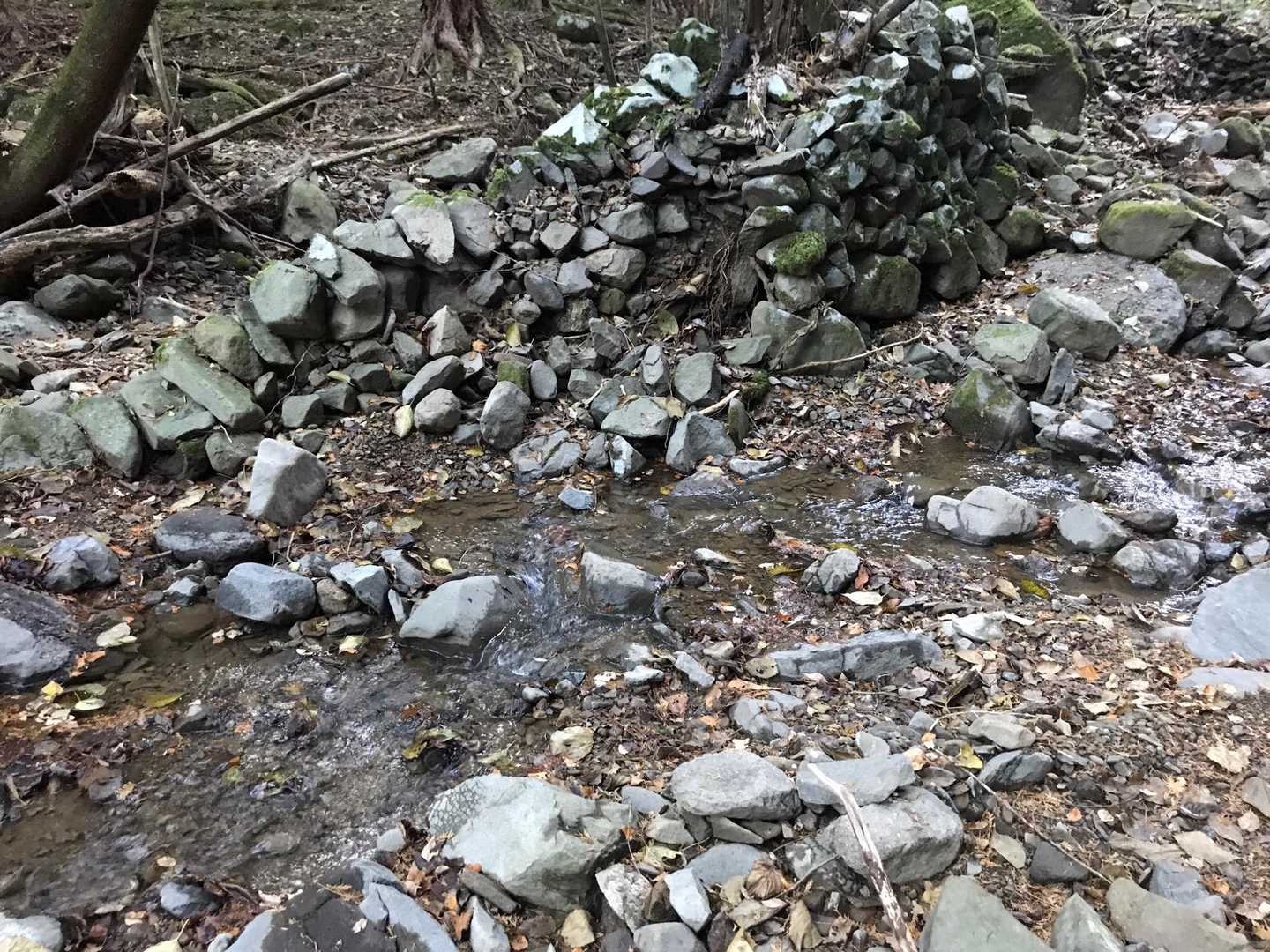 いきなり渡渉が2か所ありますが、水量は少ないです。