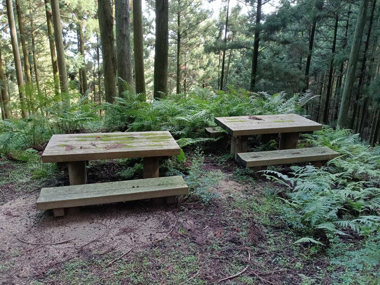 ベンチ３箇所
ありがたい