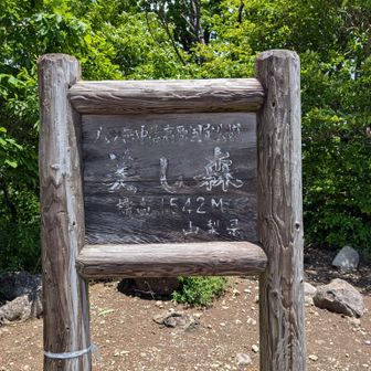 1542メートルここから赤岳方面に行けそうでした。ここから赤岳のルート興味ありました〜。でも熊🐻出そうー。