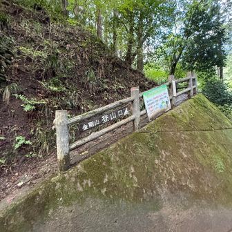 当初の予定の下りルートだと🅿️閉門の時間に間に合わない可能性があったので、距離が短そうだけど初めてのルートで下りてきました。