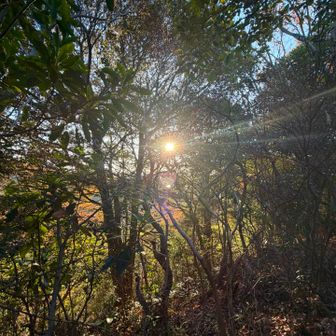 夕日がいい感じ