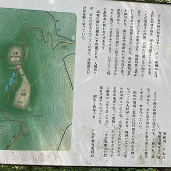そうなんだ🧐、さて、ここからお花探索
