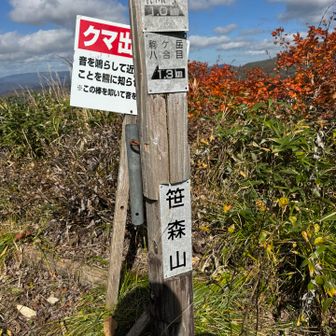笹森山には登らず、下山