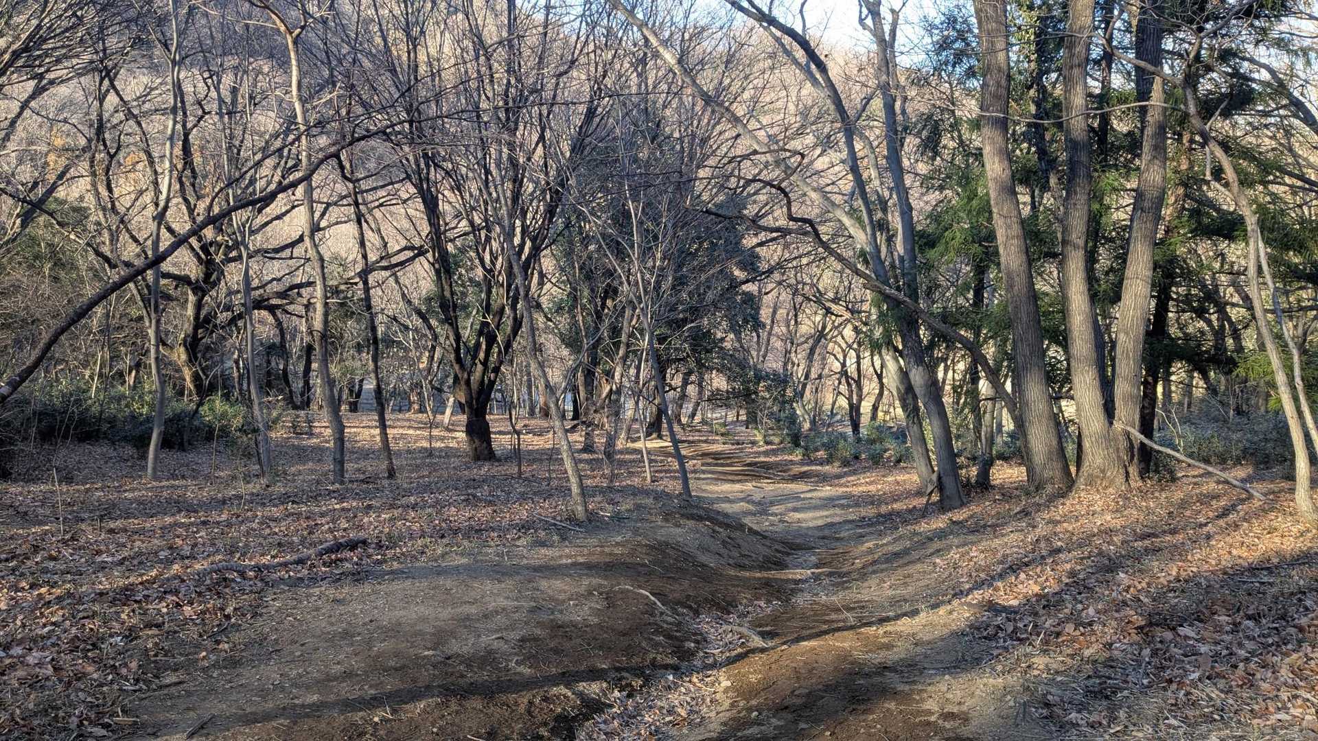 下山〜