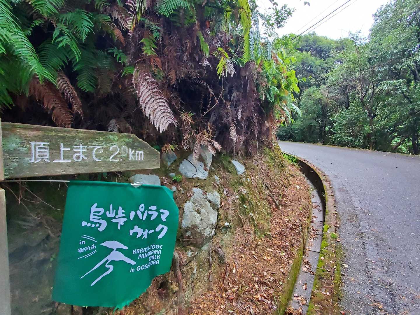 てくてく……