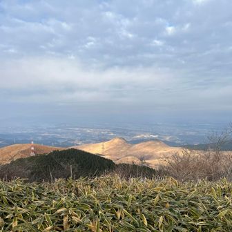 少し黄砂が降ってるのかな