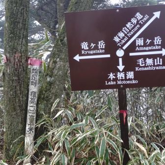 峠分岐、ここまでくると急な下りは終わりです。