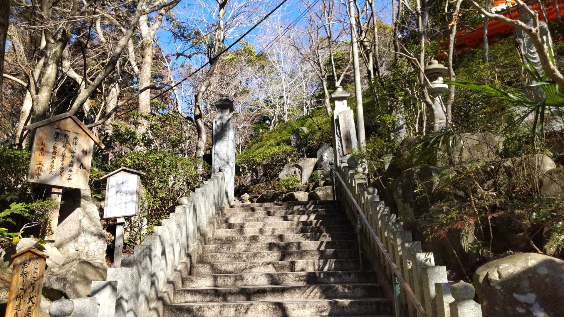 わぁー、今日は久しぶりに神仏のみんなに会えて良かった～😺✨💞
ありがとうございました～😺✨✨✨💞