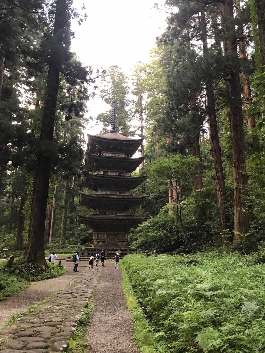 羽黒山の写真