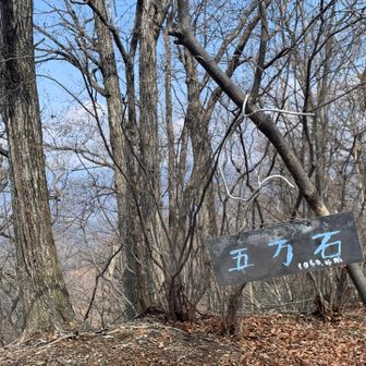 五万石山頂。ここでは、群馬の四人組がお食事中。少しお話しさせて頂きました。我が太郎山もご存じでした。
待ってますよ❗️
