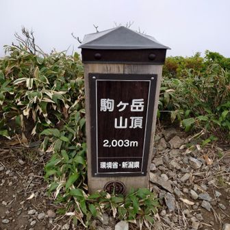 ☁ガスガスです☁
