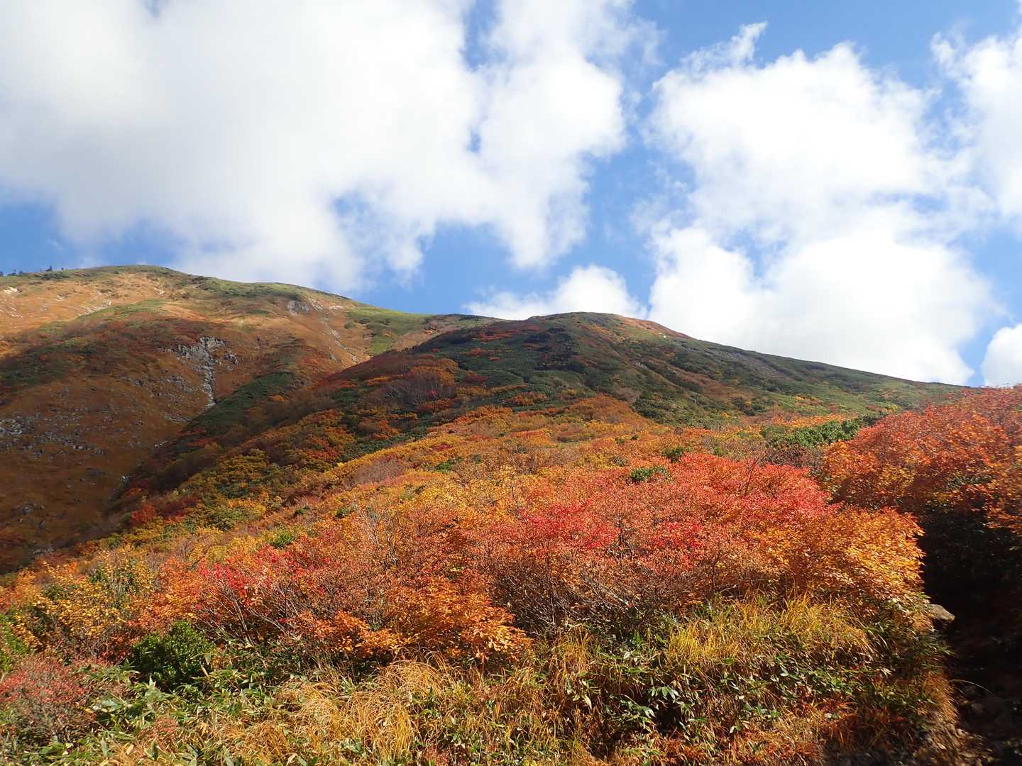 巻機山登山口-割引岳-巻機山-牛ヶ岳-前巻機 周回コースの写真