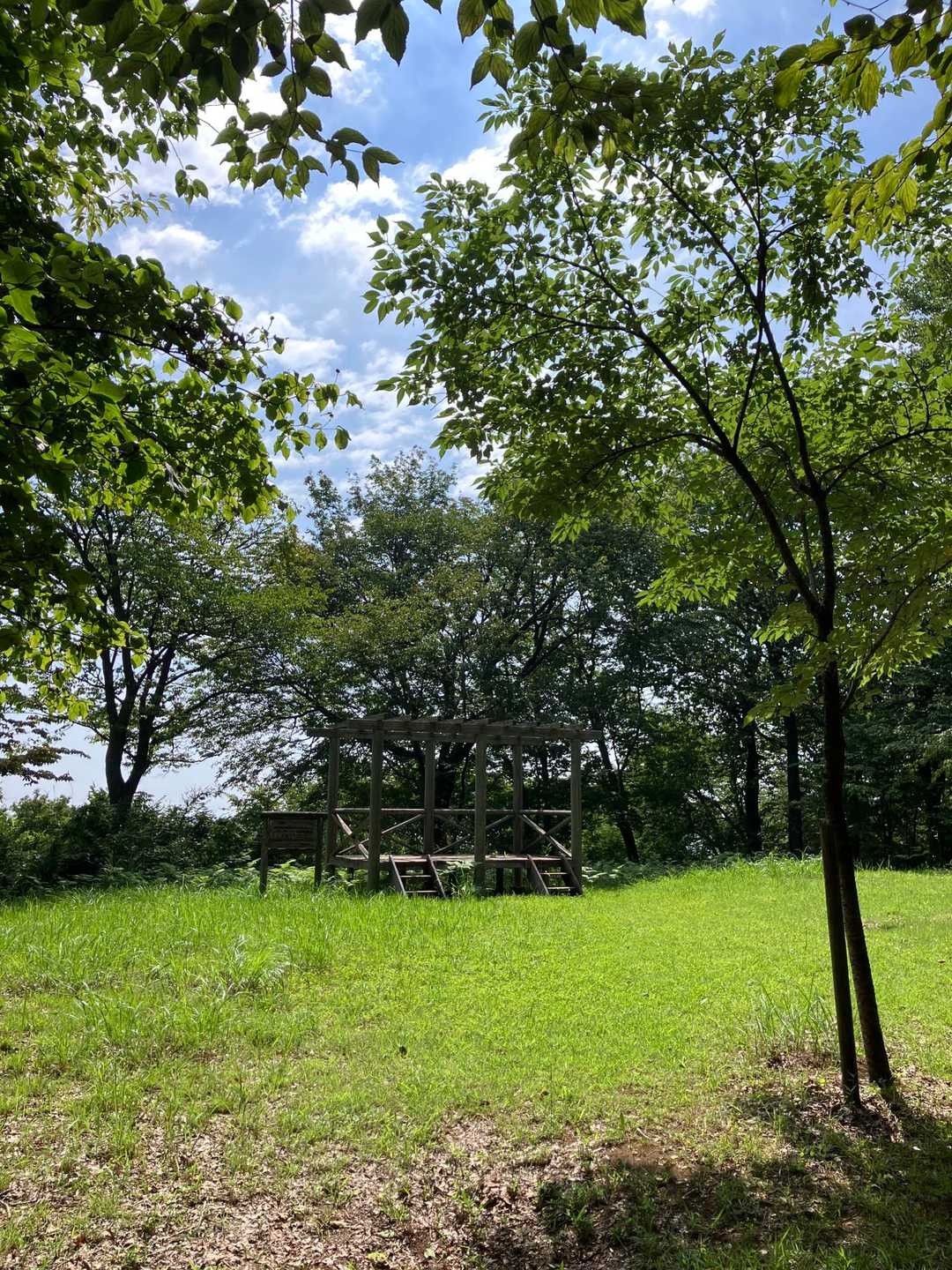 久しぶりに見晴らしの丘に寄って見ます。