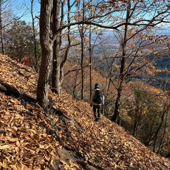 ミルたんさんも慎重に
噂どおりの難所に四苦八苦😆
