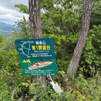 なんとか1座！止まらないでゆっくり歩く...🐌