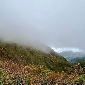 こちらのルートを選んだのは…

このあたりから…
ドッカーーンっと…

にゃえば山⛰️が
見られるはずだったんだがぁー…🙄