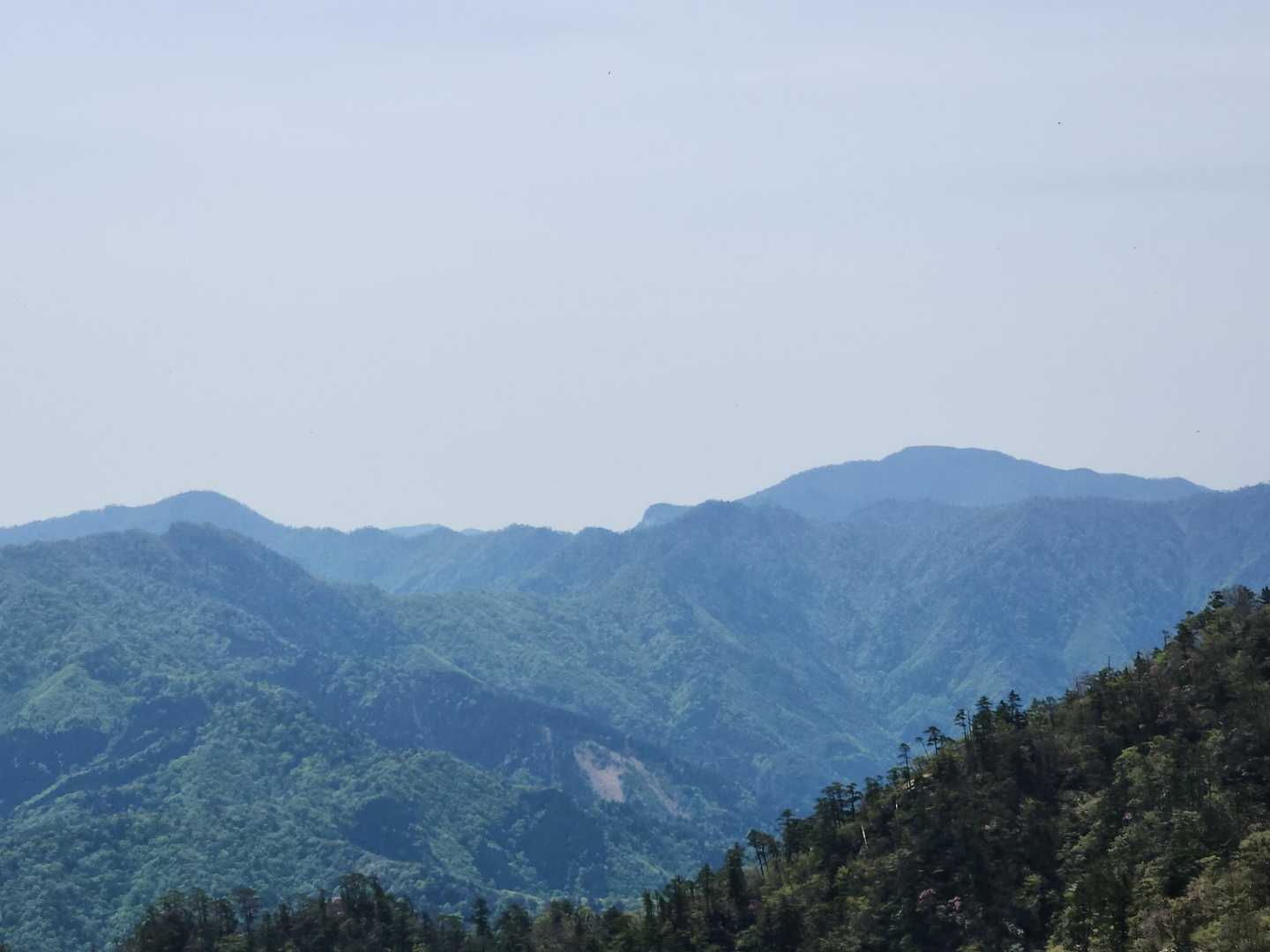 傾山 往復コースの写真